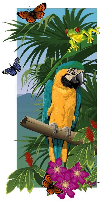Rainforest Drawings Draw Rainforest Animals Image Search Results