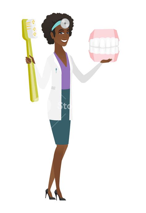 Dentist Holding Dental Jaw Model And Toothbrush Vector Illustration
