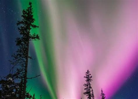 Alaskan Seismometers Record The Northern Lights Spaceref