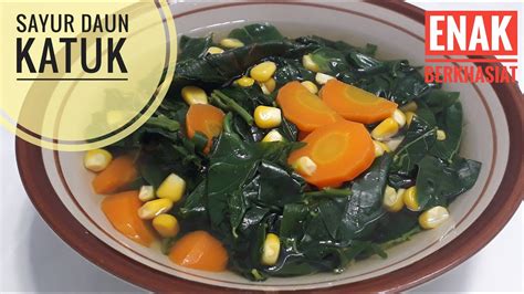 Maybe you would like to learn more about one of these? Resep Sayur Daun Katuk yang Super Enak dan Simpel - YouTube