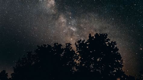 Download Wallpaper 3840x2160 Starry Sky Milky Way Night Trees Stars