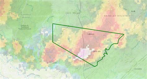 According to couponxoo's tracking system, there are currently 22 car dealers in cullman alabama results. Flood Warning for Parts of Cullman County Until 3 p.m ...