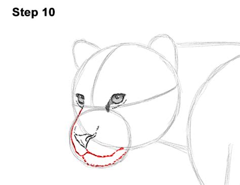Jjust go to youtube and type: How to Draw a Jaguar VIDEO & Step-by-Step Pictures