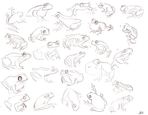 Frogsketchb2w Frog Sketch Frog Pictures Animal Drawings