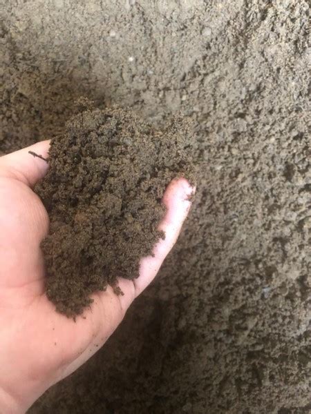 Buy Bs3882 Topsoil Online Trade Landscape Supplies Company