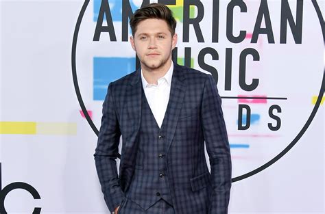 Niall Horan Shares Advice For Bts On The 2017 Amas Red Carpet