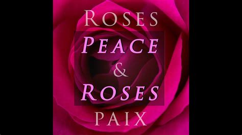 Peace And Roses Roses And Paix Youtube