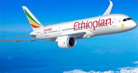 Ethiopian Airlines Crew Followed Proper Procedures Before Crash Report Orissapost