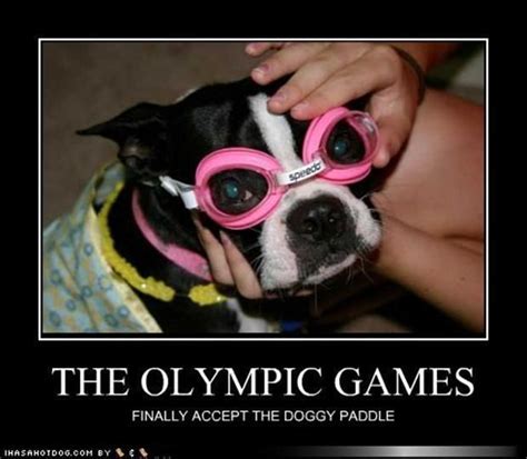 Funny Demotivational Posters Funny Dog Pictures Clean Funny Pictures