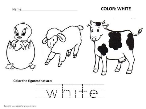 Hot Color White Preschool Worksheets