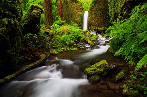 Fondos De Pantalla 2048x1365 Ríos Cascadas Bosques Columbia Oregon