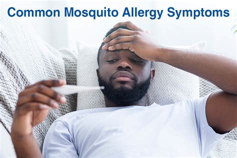 Are You Allergic To Mosquitoes A Definitive Guide