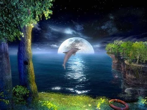 Dolphin Jumping And Moon 3d Animation Wallpaper Ocean