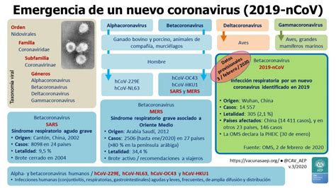 Emergencia De Un Nuevo Coronavirus 2019 Ncov Comité Asesor De