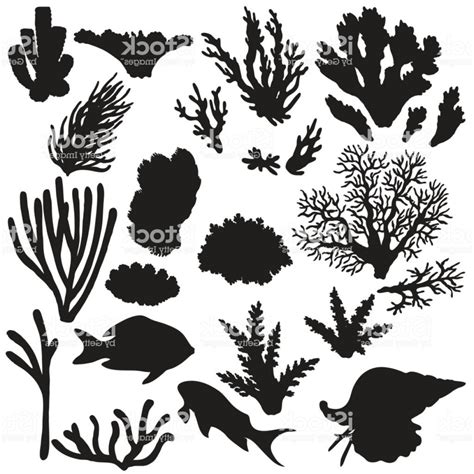 Coral Clipart Silhouette Pictures On Cliparts Pub 2020 🔝