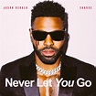 Jason Derulo & Shouse - Never Let You Go - Single [iTunes Plus AAC M4A ...