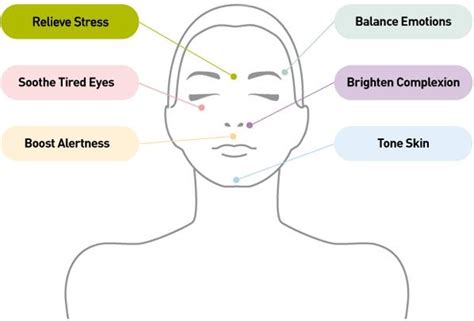 17 Best Images About Massage Pressure Points On Pinterest Pressure Points Facial Massage And
