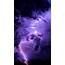 Purple Lightning Wallpaper 55  Images