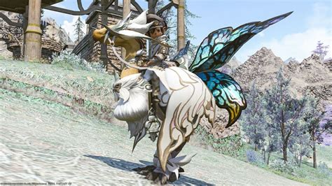 Chocobo Armor Titania Barding With Beautiful And Cute Big Butterfly