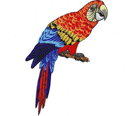 Digital Download Parrot Xl Machine Embroidery Design In Etsy