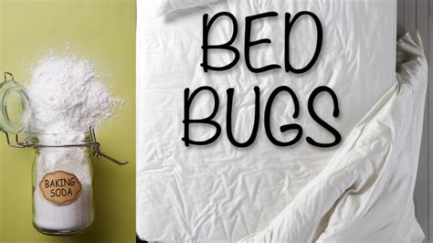 Dont Let Bed Bugs Bite How To Use Baking Soda To Get Rid Of Them
