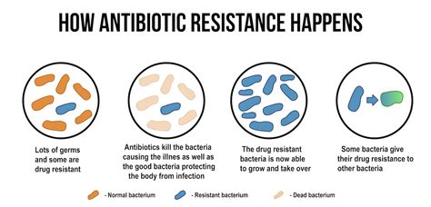how to train the body s own cells to combat antibiotic resistance