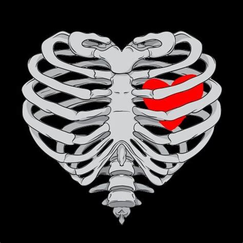 Oh My Sweet Heart Skull Art Heart Wallpaper Skeleton Art