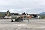 【F-5E墜機】殉職飛官曾回報發動機故障 國防部：F-5型戰機全面停飛