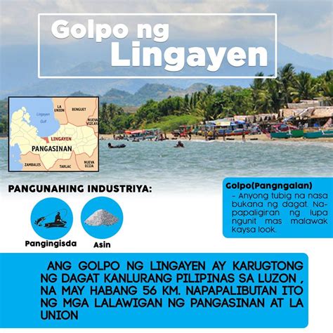 Pangasinan Biodiversity Lingayen Gulf Serving As One Of The Home Of
