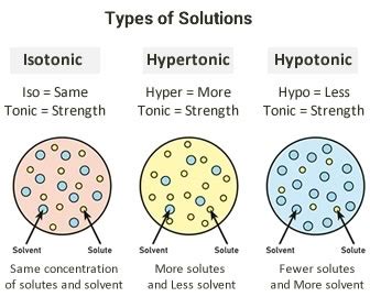 What Is Meant By Hypertonic Solution - slideshare