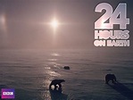 24 Hours on Earth (2014) - Where to Watch It Streaming Online | Reelgood