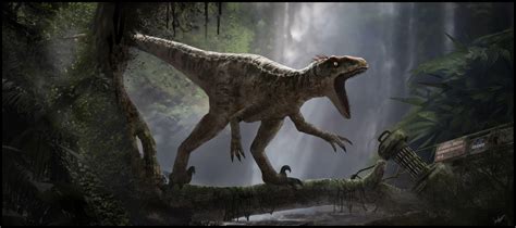 Velociraptor Wallpapers Top Free Velociraptor Backgrounds Wallpaperaccess