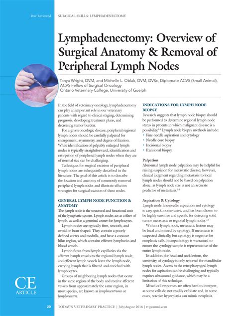 Lymphadenectomy Overview Of Surgical Anatomy Removal Of Lymph Nodes