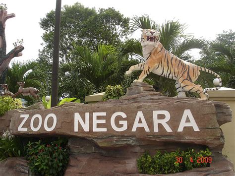 It's been so long since i did any sightseeing because of the lockdown, and. Zoo Negara (National Zoo) Kuala Lumpur, Malaysia ...