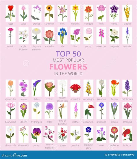 Votre Guide De Jardin Fleurs De Les Plus Populaires Du Principal 50