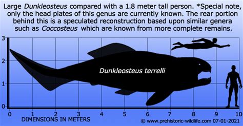 Dunkleosteus