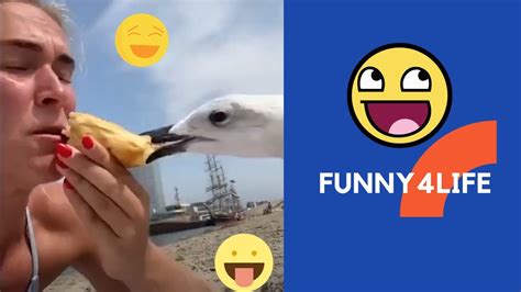 Totally Random Funny Videos Try Not To Laugh Fail Human In Life Youtube