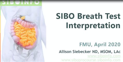 Sibo Breath Test Interpretation