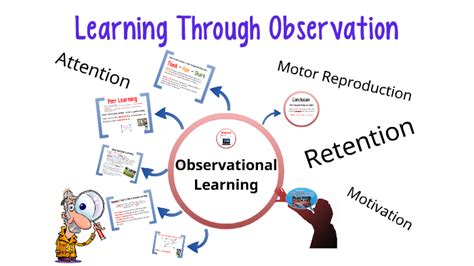 Observational Learning By Geraint Davies On Prezi