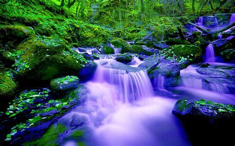Hd Wallpaper River Waterfall Cascade Green Forest Fall Rocks Green