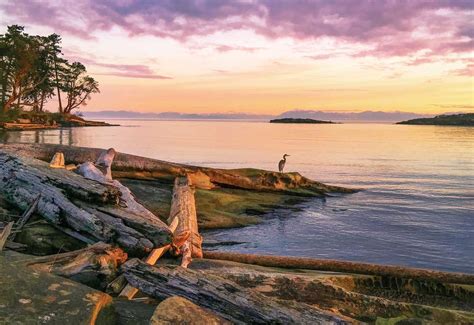 How To Spend One Perfect Day On Galiano Island Western Living