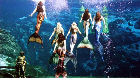 Mermaids Make A Splash At Adventure Aquarium