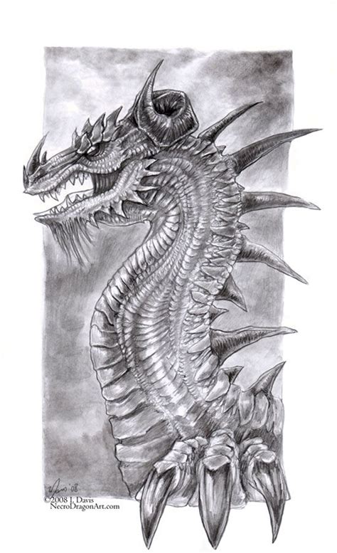 Pencil Dragon Dragon Artwork Dragon Sketch Dragon Drawing