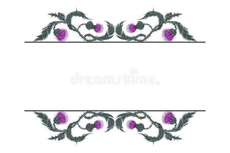 An Ornate Frame With Purple Flowers And Leaves On White Background