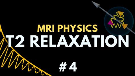 T2 Relaxation Spin Spin Relaxation Free Induction Decay Transverse