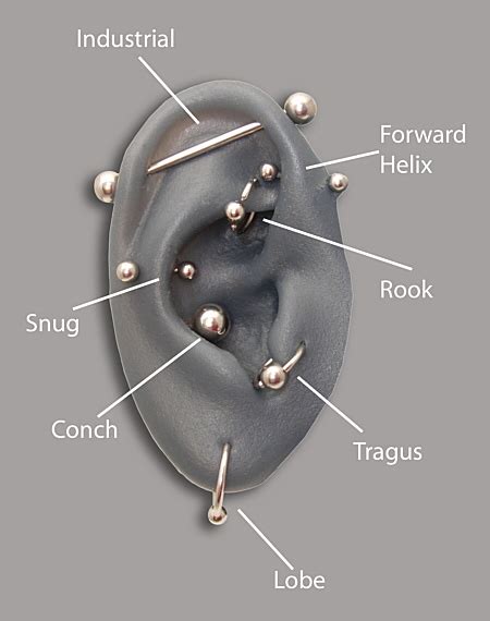 Helix Piercing Pictures Pain Infection Care And Aftercare