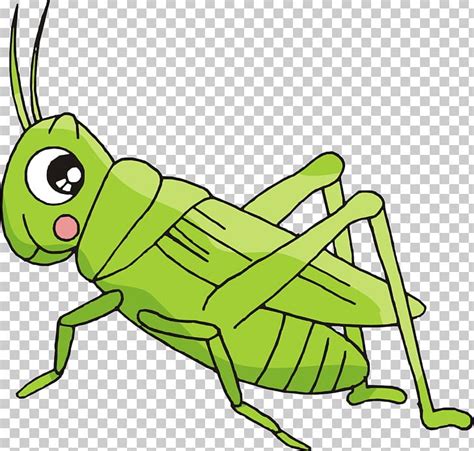 • not aggressive towards animals or humans. cricket animal clipart 20 free Cliparts | Download images ...