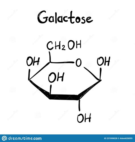 Galactose Gal Monosaccharide Chemical Structure Vector Illustration