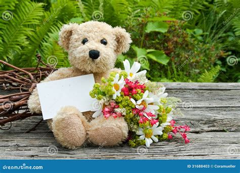 Teddy Bear Stock Image Image Of Valentines Wreath Wedding 31688403