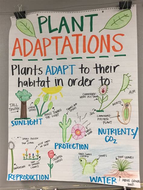 Plant Adaptations Anchor Chart Science Science Anchor